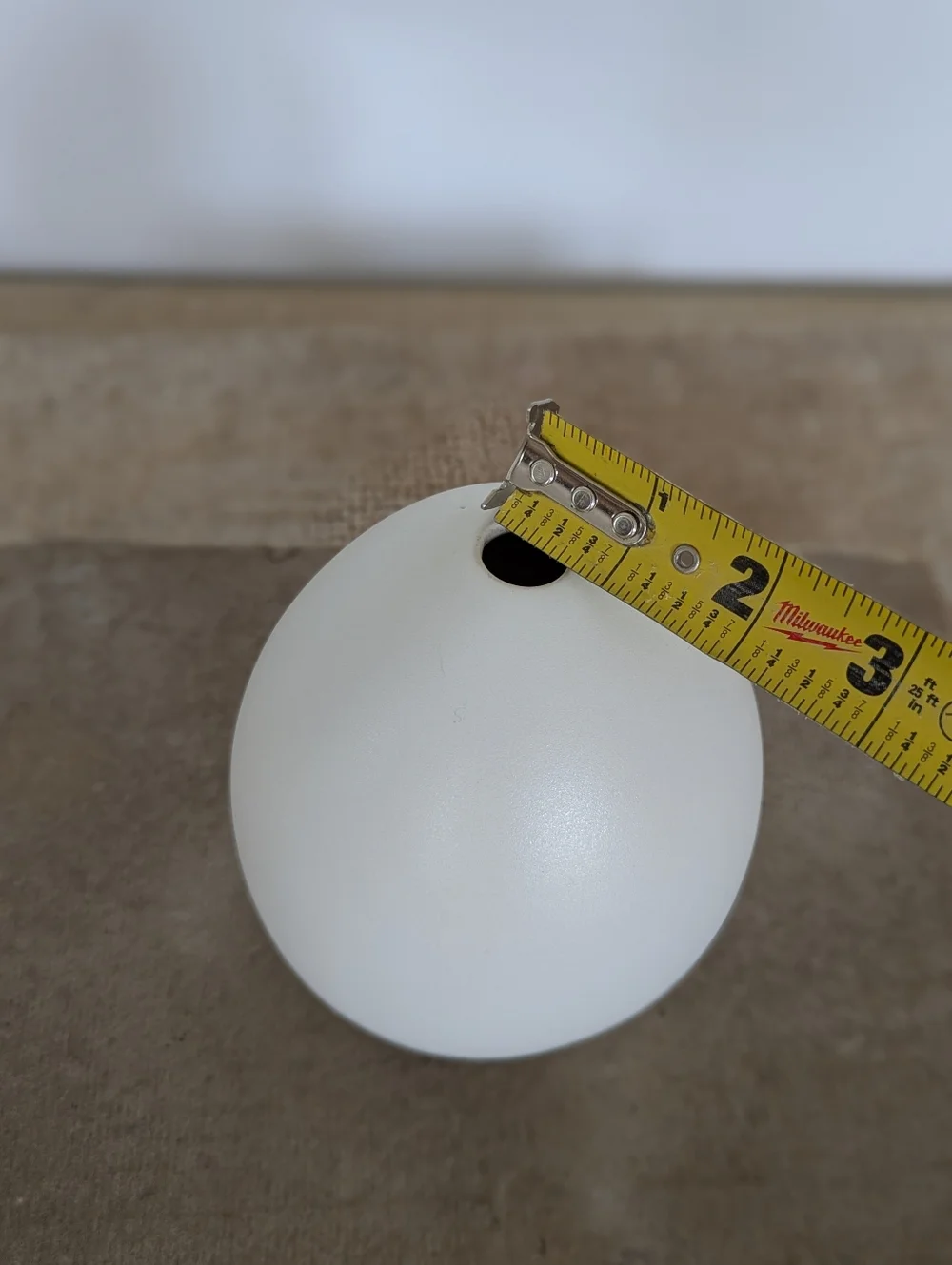 West Elm White Minimalist Bud Vase